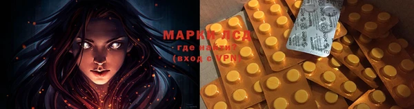 герыч Майский